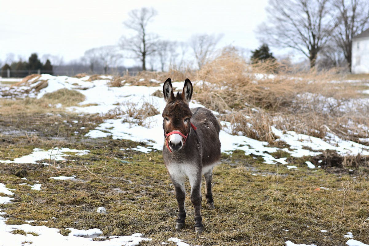 Dziecko w foteliku samochodowym — bezpieczeństwo w UK