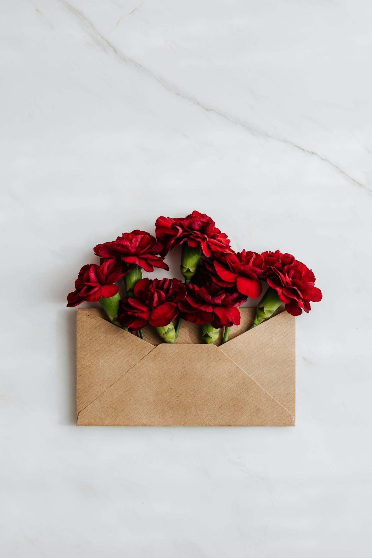 podróż z psem do UK — przewodnik 2026