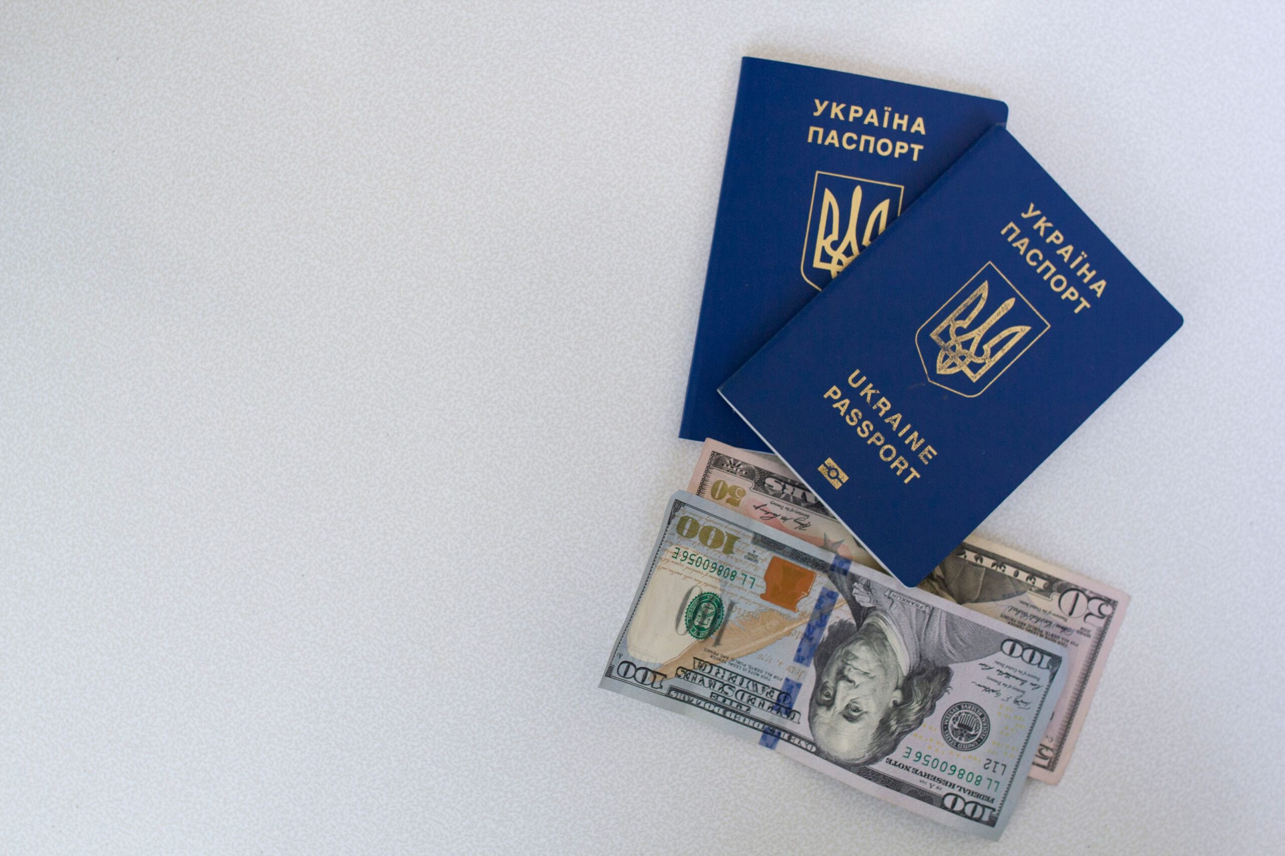 Otwarty paszport z danymi osobowymi zawierającymi polskie znaki diakrytyczne
